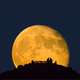 Illustration for article titled Stunning photos of Lick Observatory by Laurie Hatch